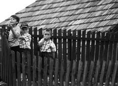 Pred plotom, za plotom...