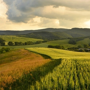 Podvečerná