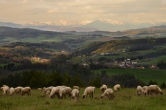 Podvečer nad Lukavicou