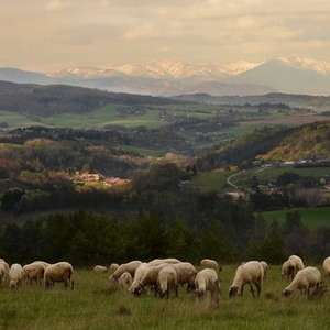 Podvečer nad Lukavicou