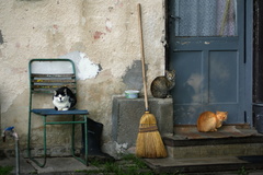 Na tom našom dvore 1