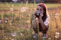 Bubbles