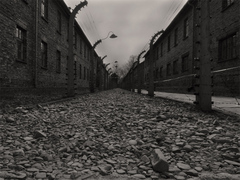 Auschwitz