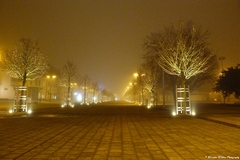 Zvolenské námestie v hmle
