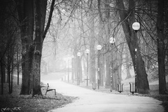 Promenáda v hmle