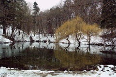 Zrkadlenie