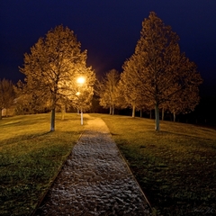 Olejomaľba