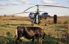 Zvieratá a technika