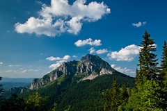 rozsutec