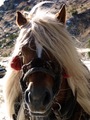 Smajda 2 :-)