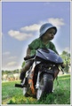 Young Rider