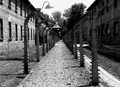 Koncentračný tábor Aushwitz