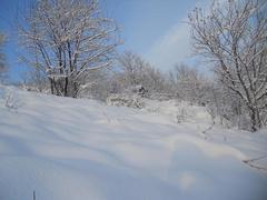 Zima u starkých na dolniakoch