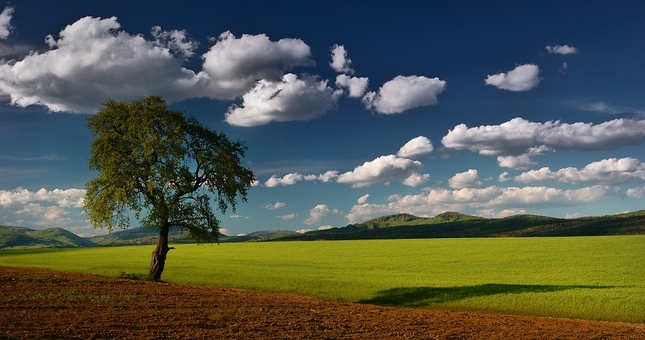 ...leto...