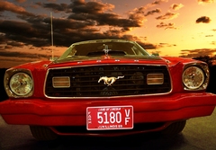 mustang