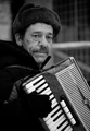 Vianočný harmonikár