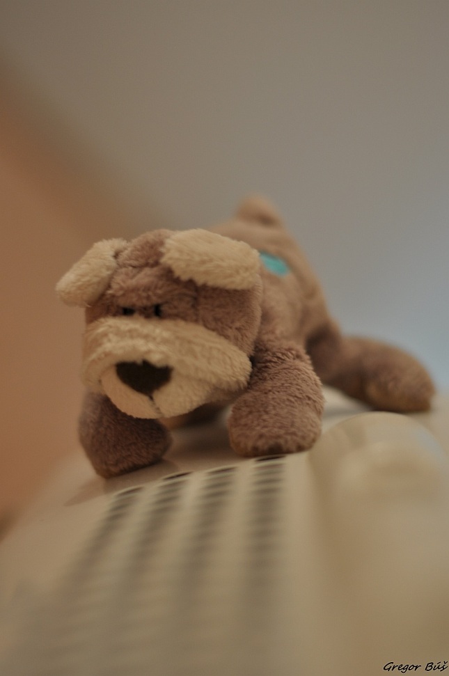 Usko :)