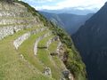 Terasy na MP, Peru