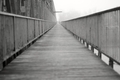 The Bridge II