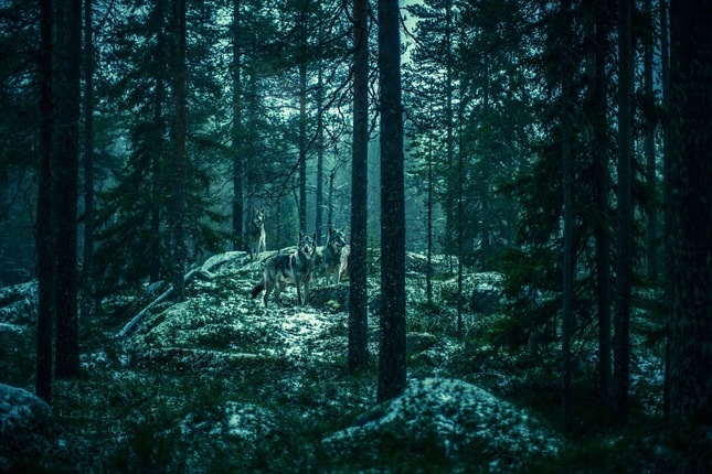 Dark side of Finland