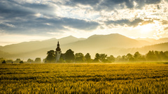 dedinka slnkom zaliata