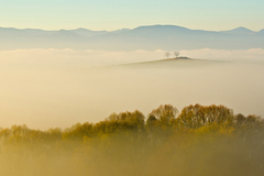 keď slnko vyšlo z hmly 2