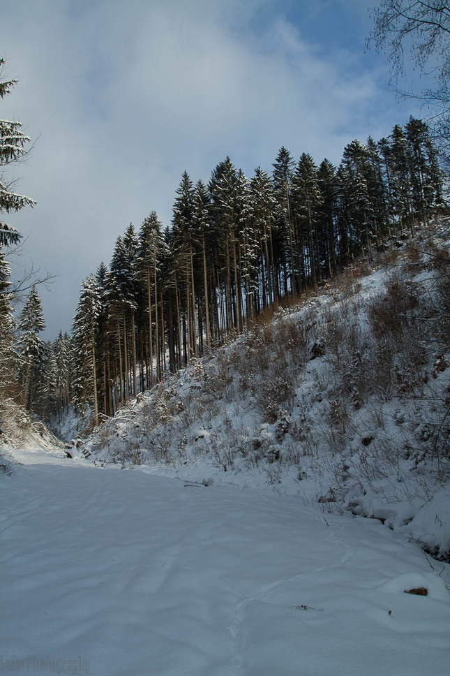 Vedľa seba