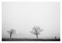 Príbeh hmlistého rána III