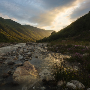 The flow of light