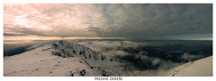 Predne Derese