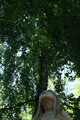 Lesná víla