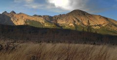 landscape1