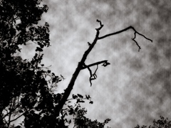 Strom..?