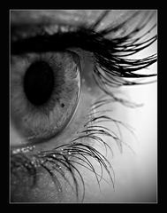 eye