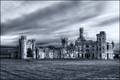 Duckett's Grove