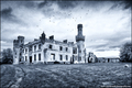 Duckett's Grove