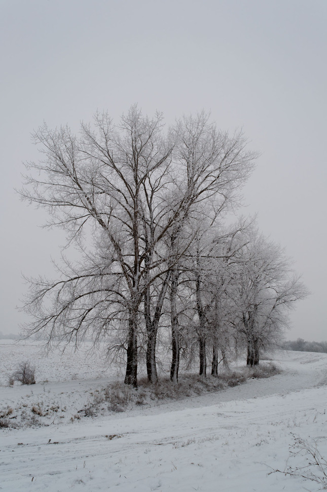 Near the river