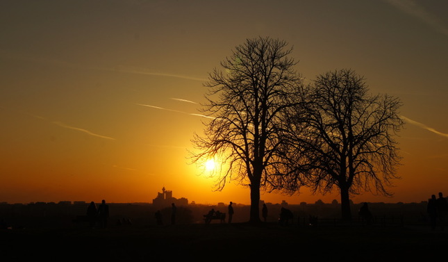 Peace on Beograd