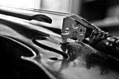 Violin