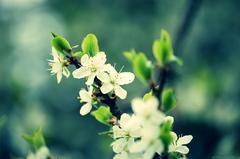 :P zakamuflovaný chrobák