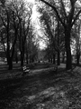Park