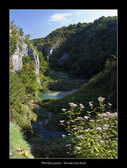 Novakovica brod