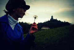 posledná jesenná púpava