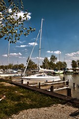 Neuesiedl#4