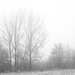 Winter mist
