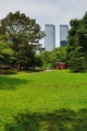 Central Park