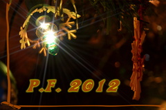 P.F. 2012