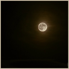 The moon