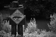 Danger...