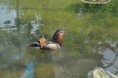 Zoo